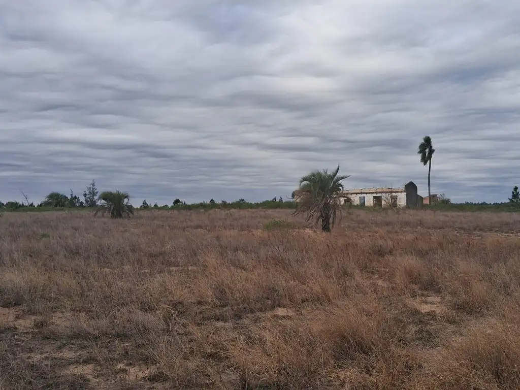 Campo en Osvaldo Magnasco