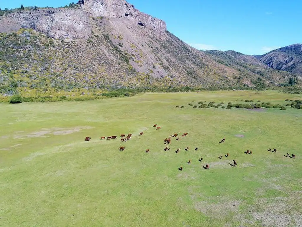 PATAGONIA AL NATURAL