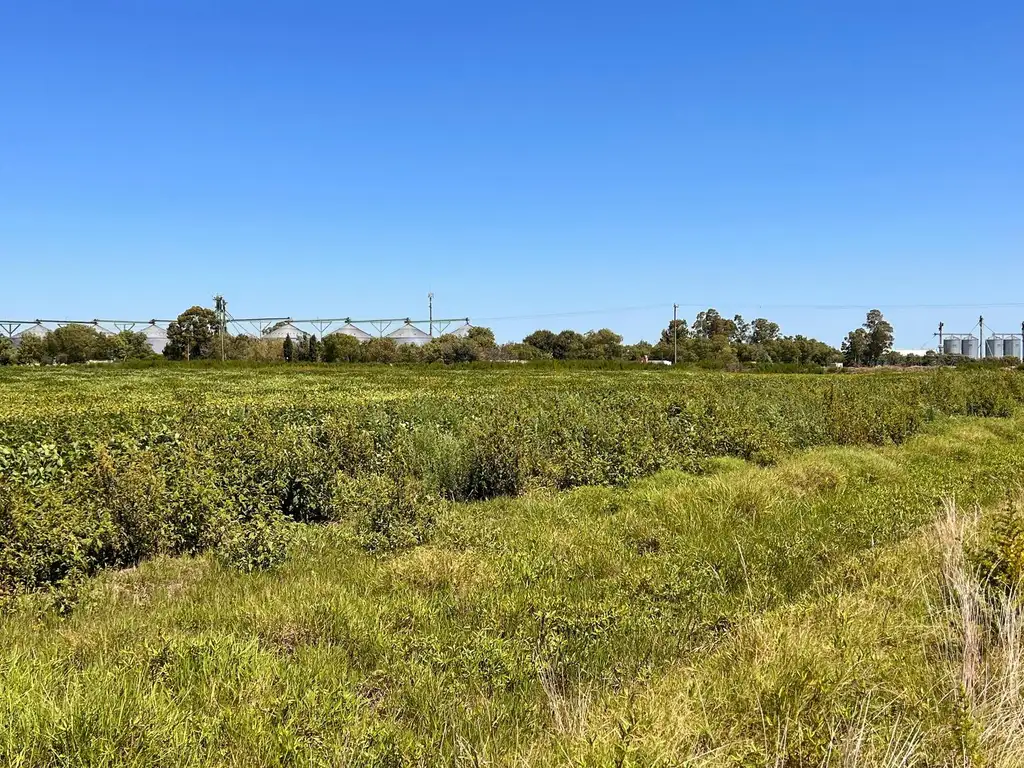 Terreno en Venta Junin en Estacion La Placette  -Colonia Rincon del Carpincho