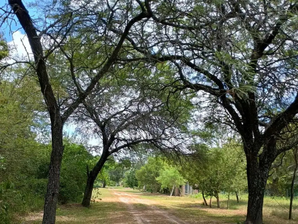 Loteo El Campito en el centro de Colonia Benitez!