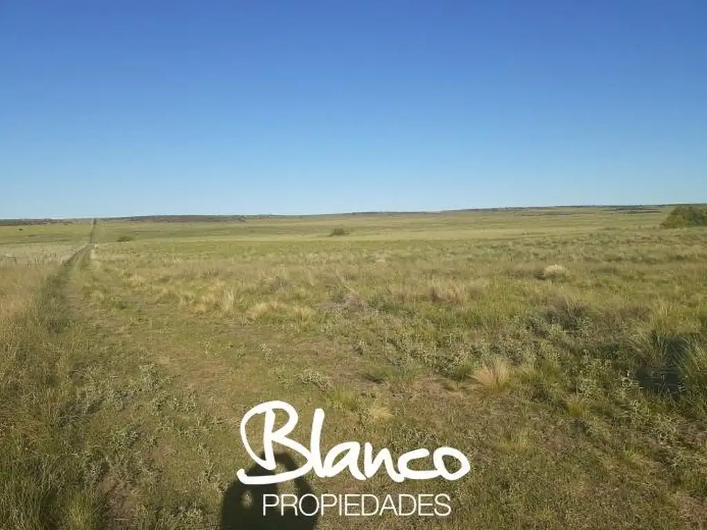 Campo  en Venta en La Vitícola, Bahia Blanca, Resto de la Provincia