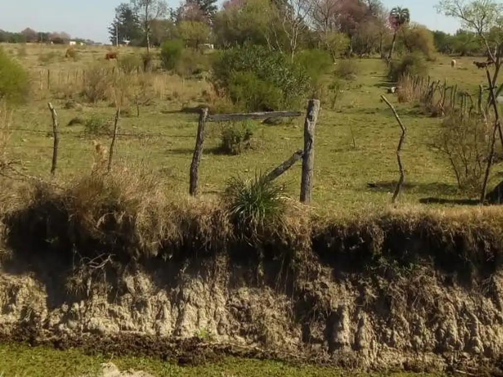 VENTA DE TERRENO EN ESQUINA, CORRIENTES