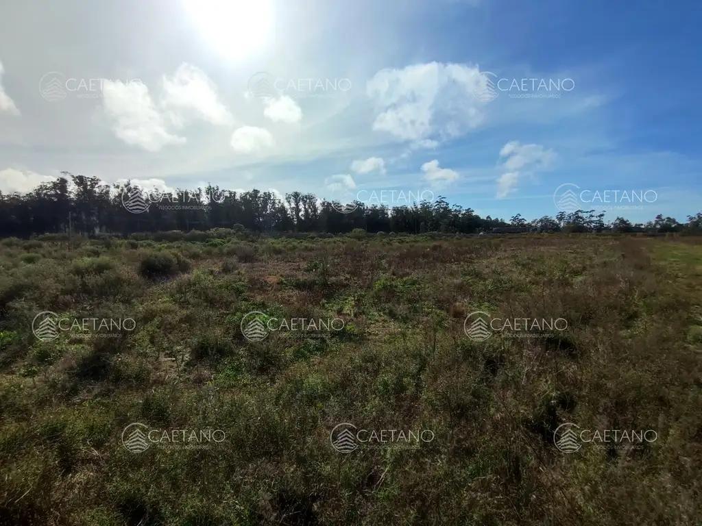 venta terreno la barra