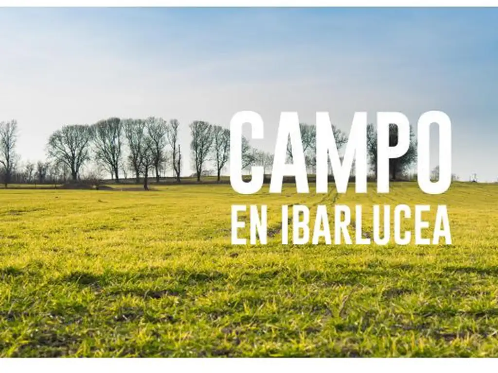 Campo 8,5HS en Ibarlucea