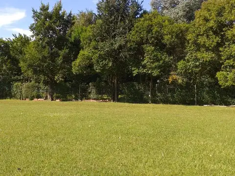 Campo en Alquiler en Manzanares