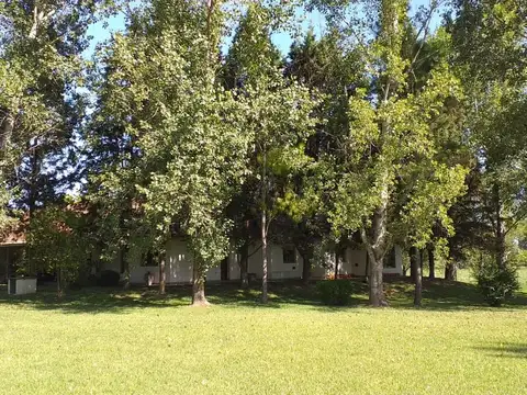 Campo en Alquiler