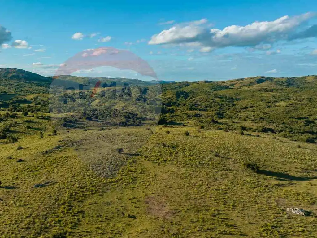 Venta Campo Ganadero Turístico 490 has Maldonado