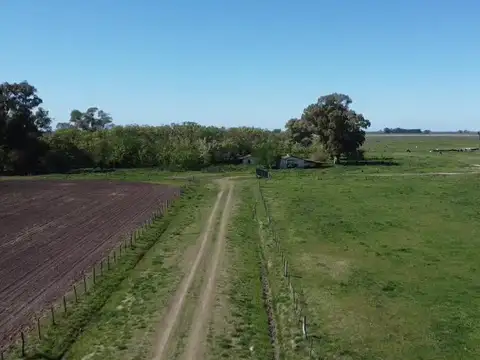 Campo en Las Marianas- Navarro