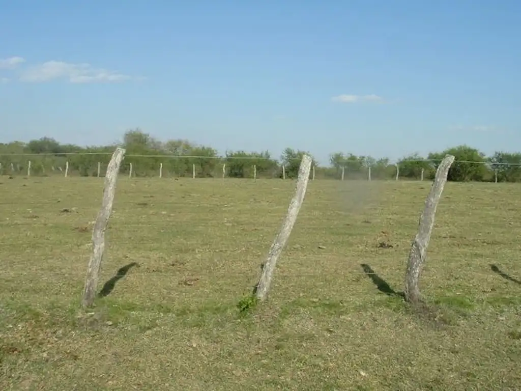 594 has campo agrícola ganadero con buena costa