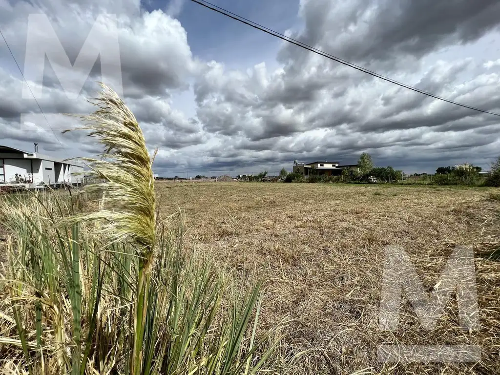 Lote con escritura - Arana