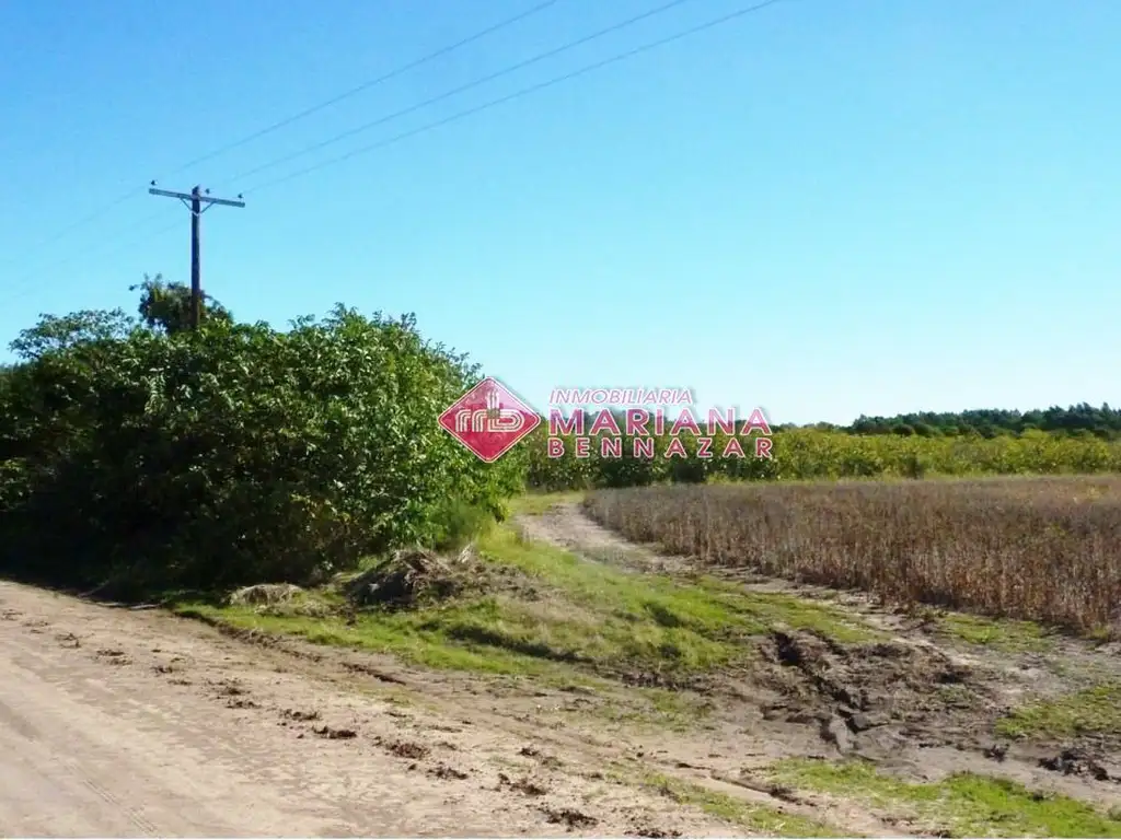 Campo en venta de 40000m2 ubicado en Gobernador Castro