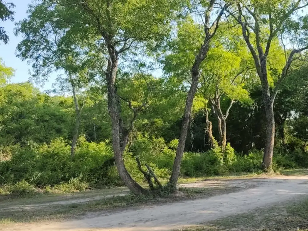 1 HECTAREA EN MARGARITA BELÉN