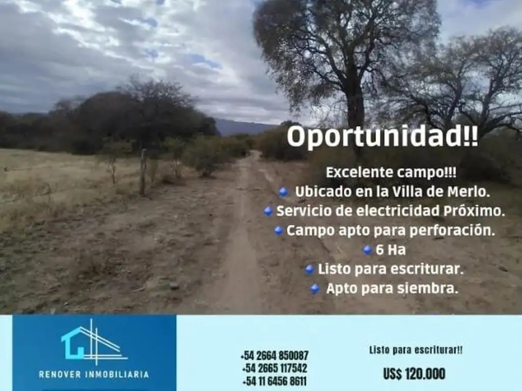 6 Ha en venta