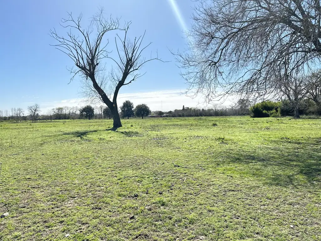 Venta terrenos en Lobos - casi 1ha