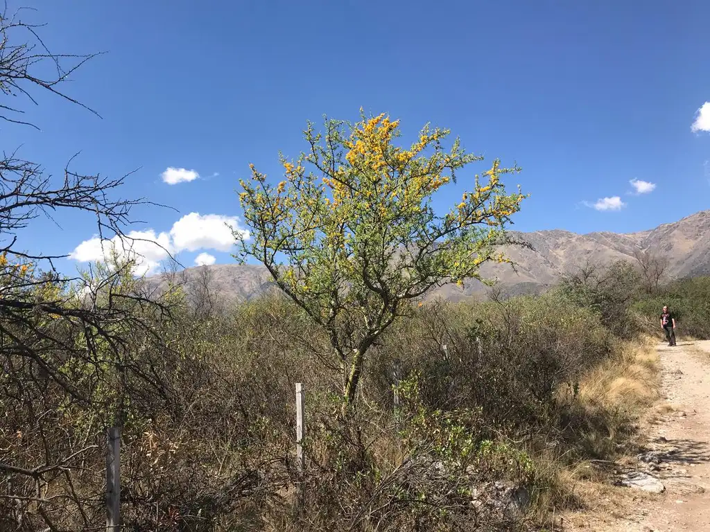 VENTA DE LOTE EN LAS CHACRAS ARRIBA