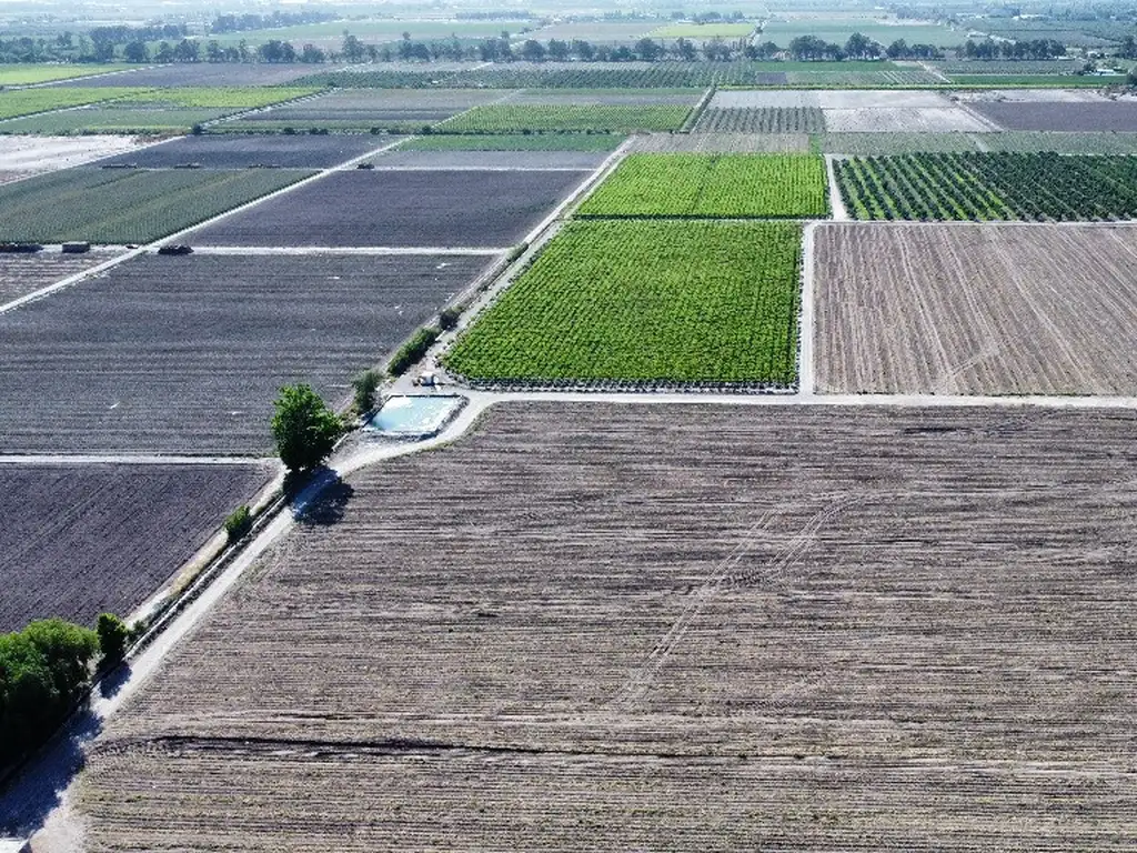 PROPIEDADES RURALES - AGRICOLA - ZONA OESTE, POCITO