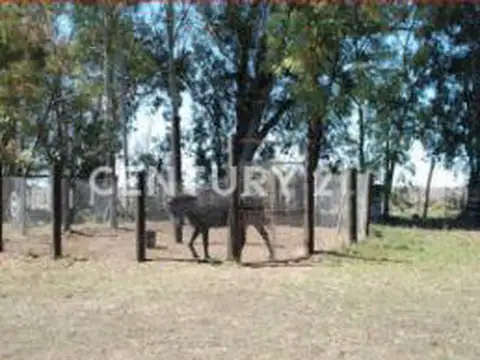 Campo - Venta - Argentina, Coronel Dorrego