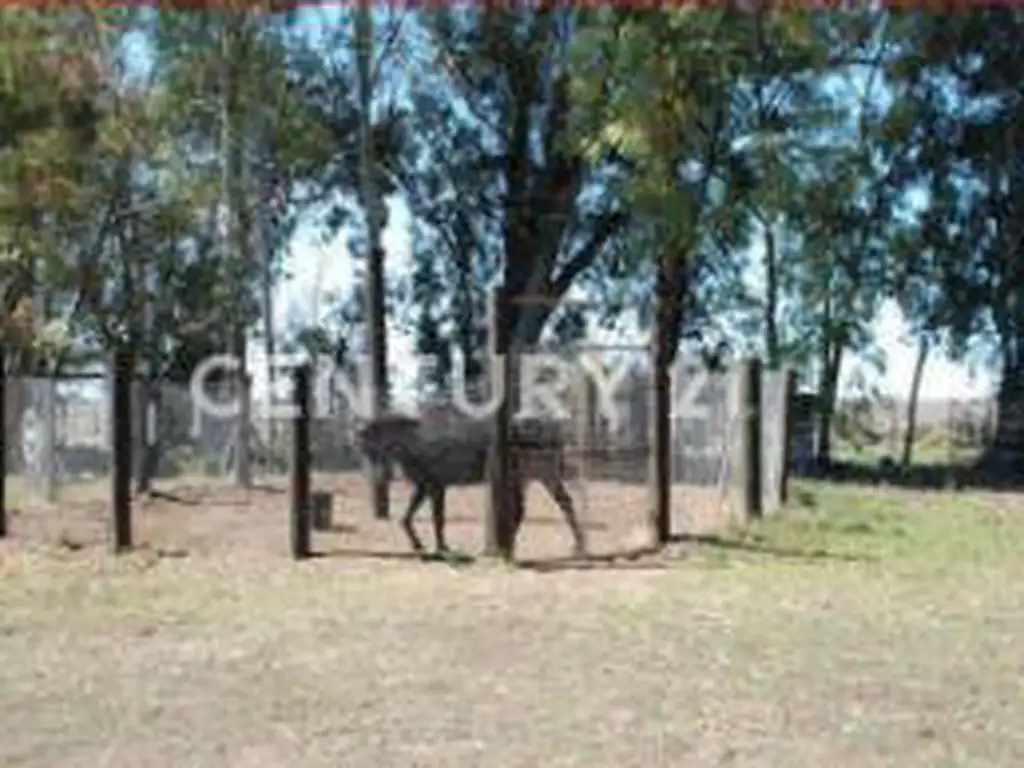 Campo - Venta - Argentina, Coronel Dorrego