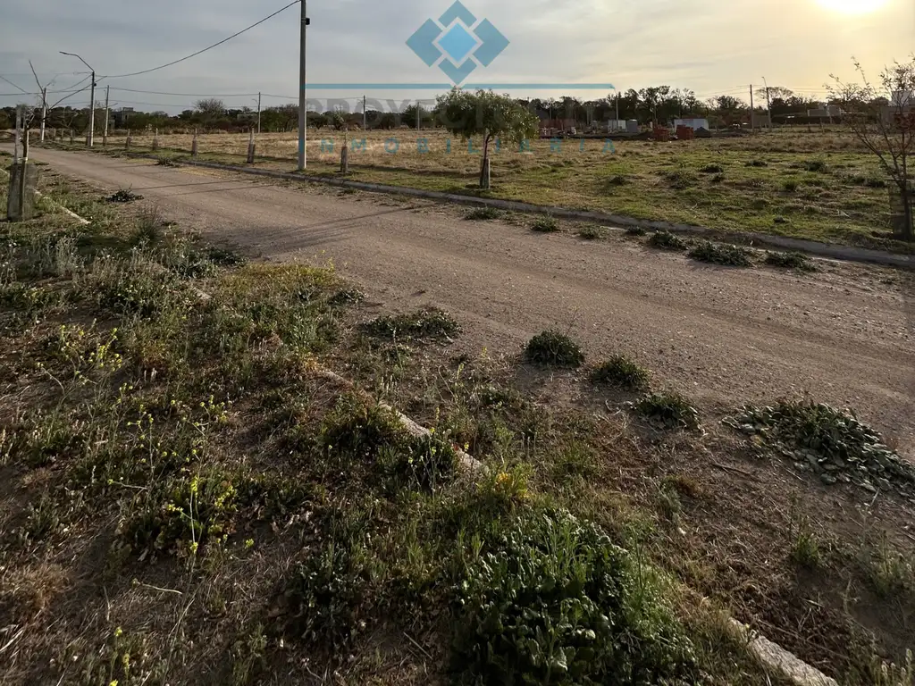 VENTA-LOTE EN LOS ALGARROBOS-SINSACATE