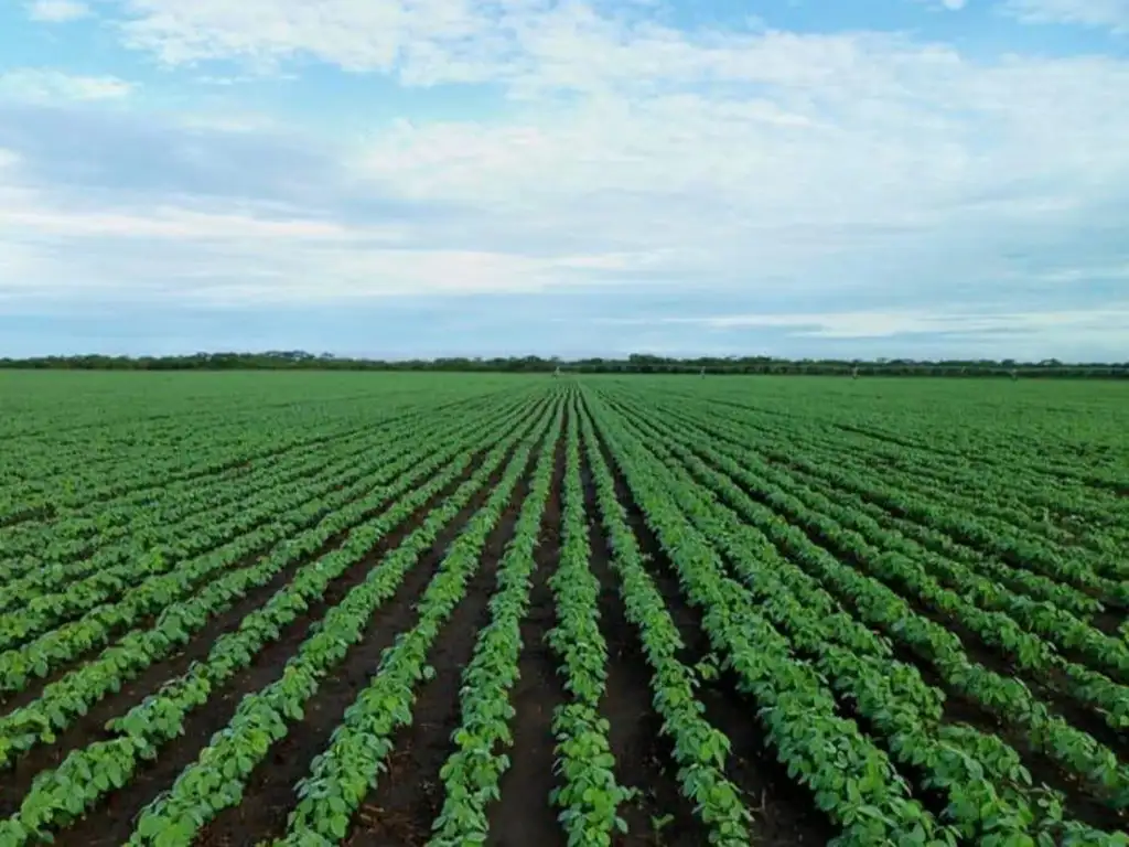 Campo en   san jose de la esquina