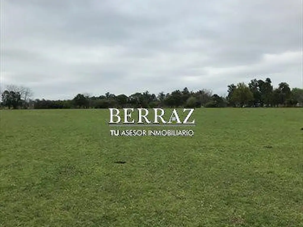 Lote en venta de 10 hectáreas en Manzanares Pilar