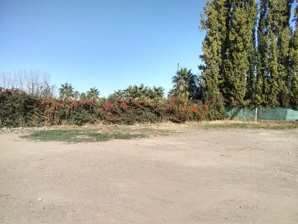 Estupendo Lote de 5.030 m2 - Coquimbito - Maipu