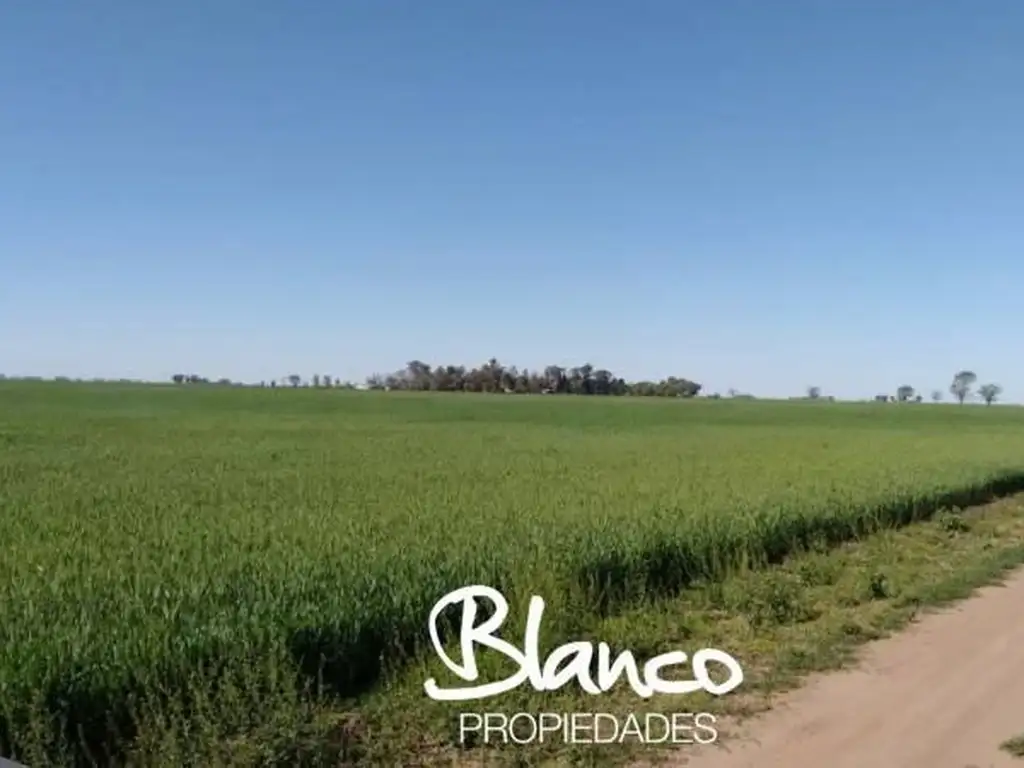 Casa Campo  en Venta en Toay, Santa Rosa, La Pampa Capital - BLA6128_LP573616_5