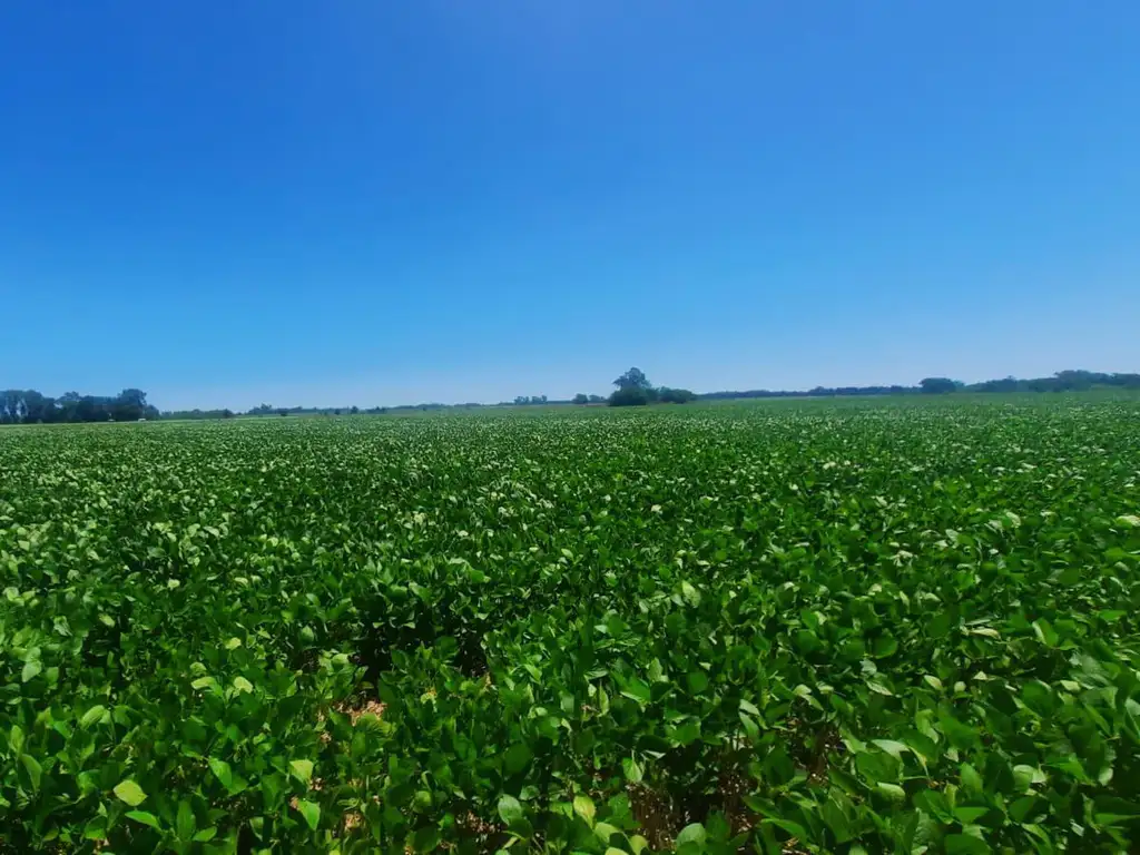 Campo en Venta, 17,5 Ha, en Open Door, Lujan, Gba Oeste