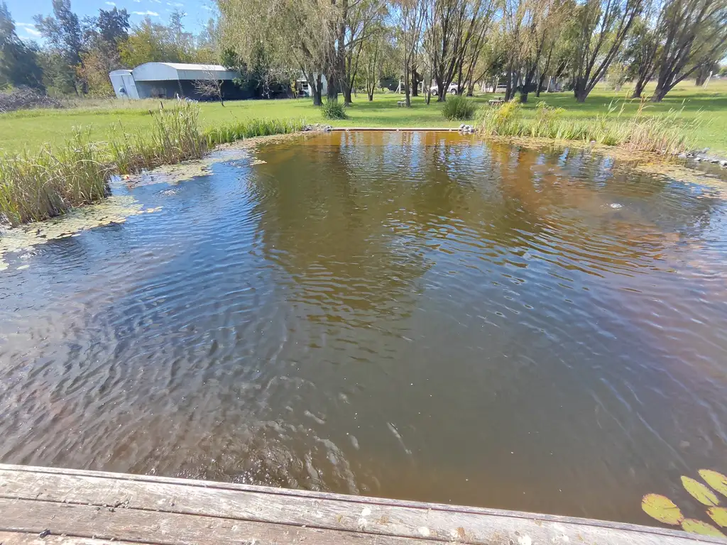 Fraccion de Campo 3,50 Has con Casa, 2 Cabañas, Galpon