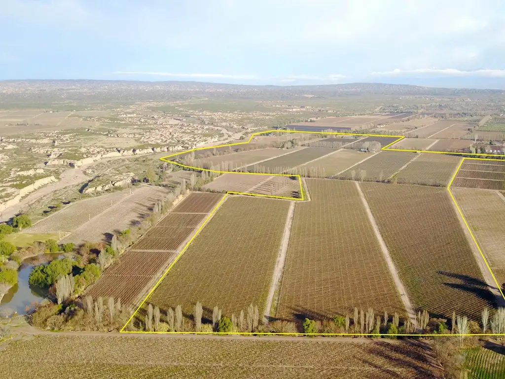 Finca con viñedos y casco en Maipú