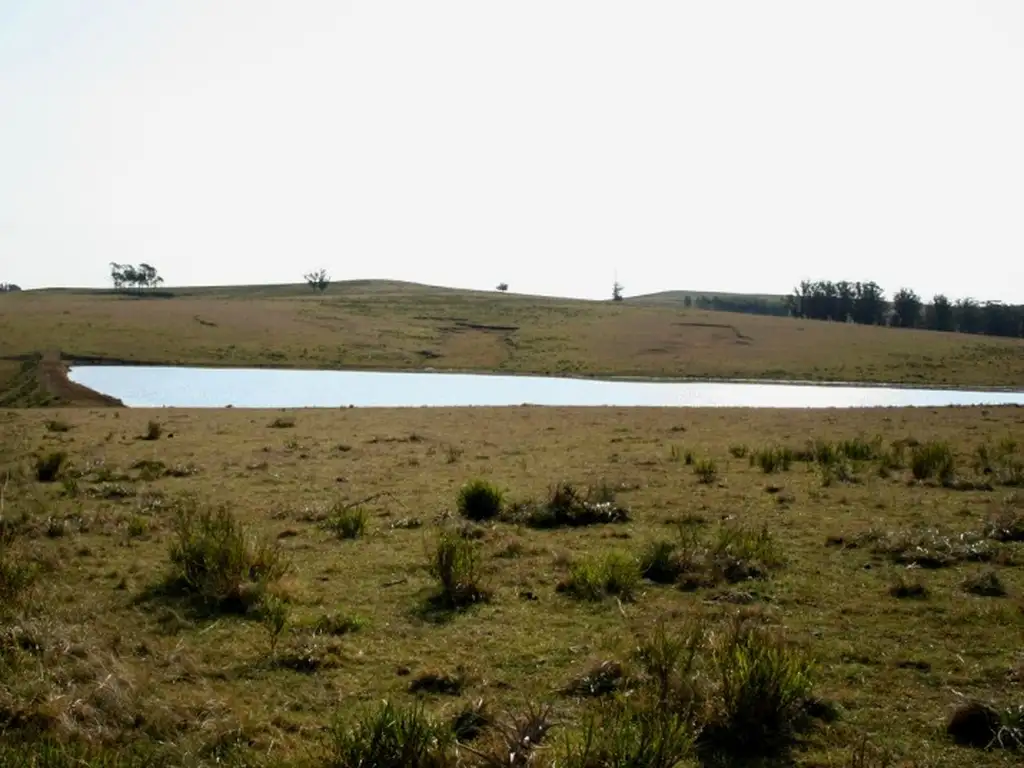 Quinta - Venta - Uruguay, La Barra