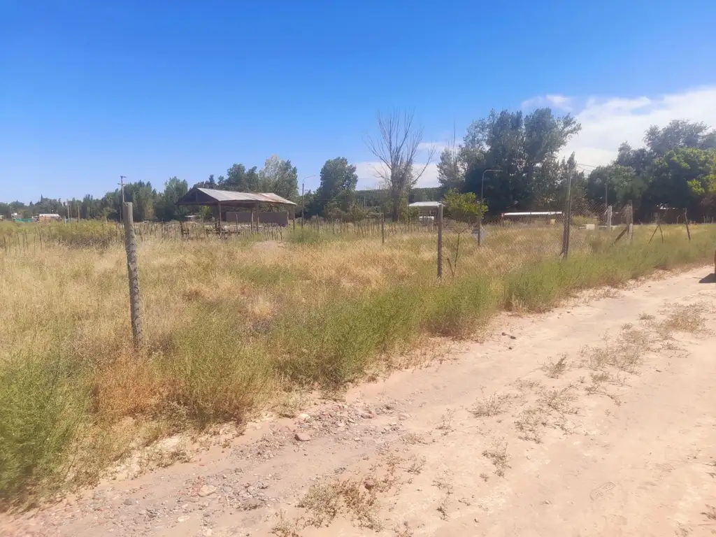 Lote - Venta - Argentina, Luján de Cuyo - Ruta 16