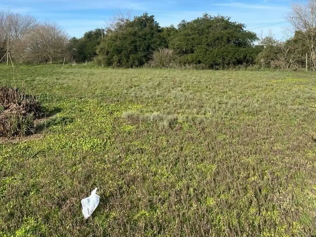 Terreno en Venta Los Porteños