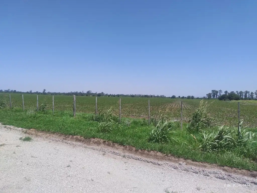 CAMPO DE 20  HECTAREAS SOBRE LA AUTOVIA,ALTA GRACIA