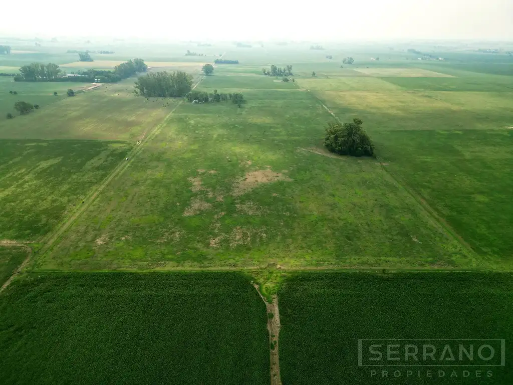 Venta. Campo 13 has. Agrícola Ganadero. Torres. Luján