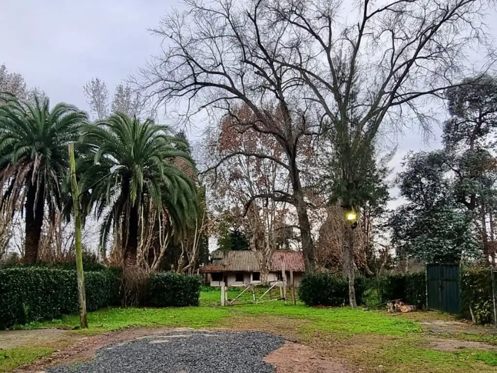 Terreno de 25.000m2 fraccionable en La Lonja, Pilar