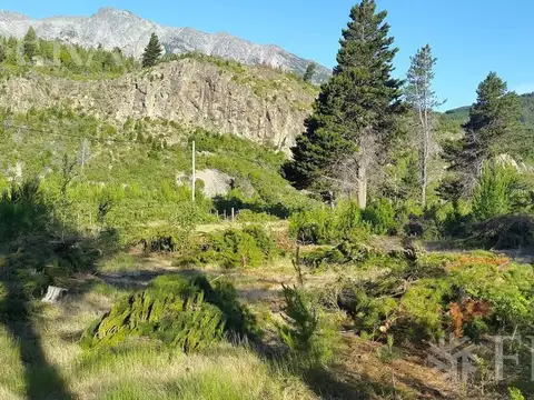 Venta de hectárea en El Hoyo - Chubut (30132)