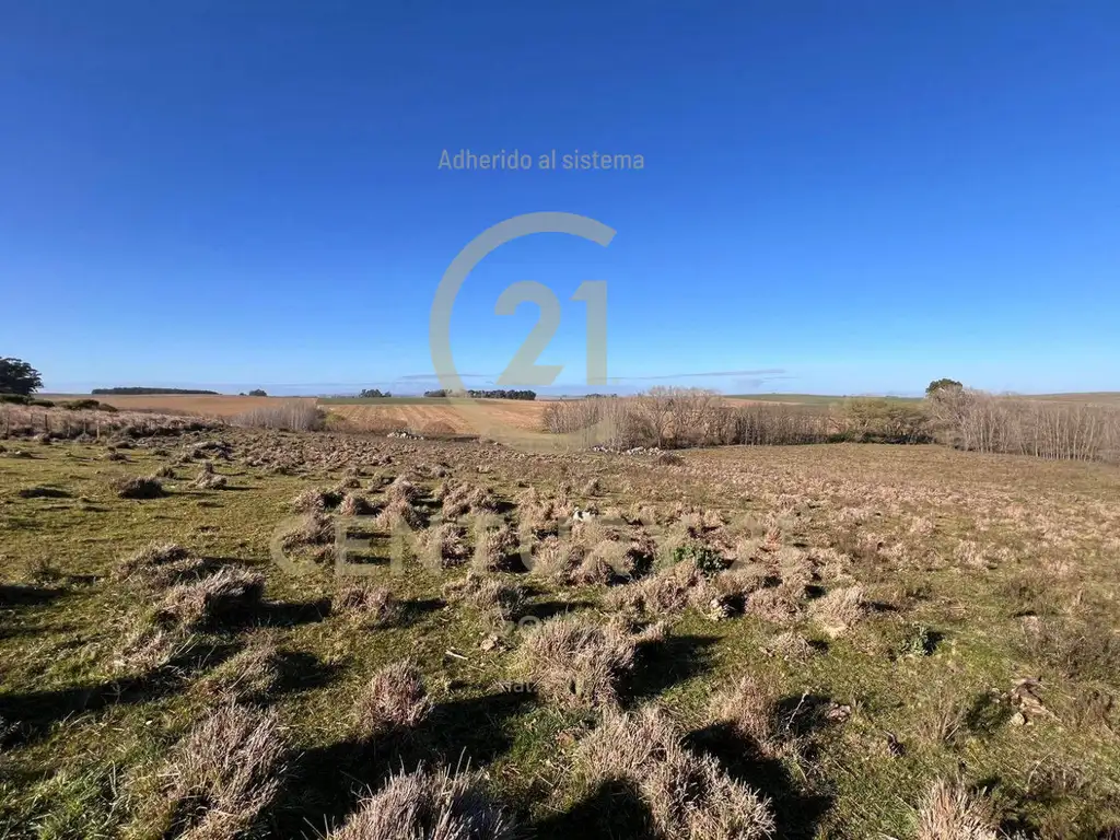 Campo - Venta - Argentina, Tandil