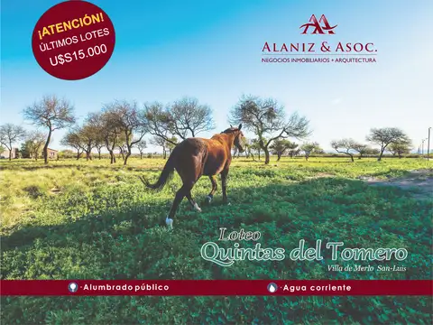 ULTIMOS LOTES EN VENTA, QUINTAS DEL TOMERO, MERLO, S.L.