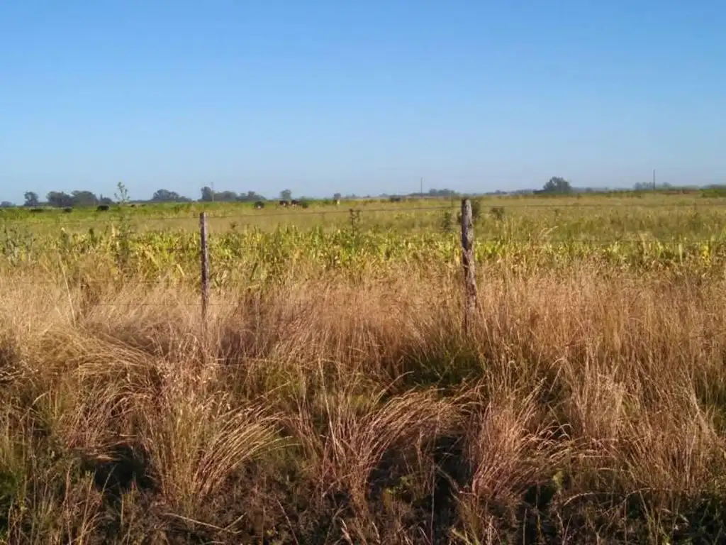 Terreno - Carmen De Areco