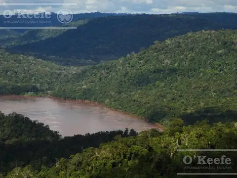 Grandes extensiones de Bosque Nativo en Misiones - Bonos verdes- Ideal conservacionistas