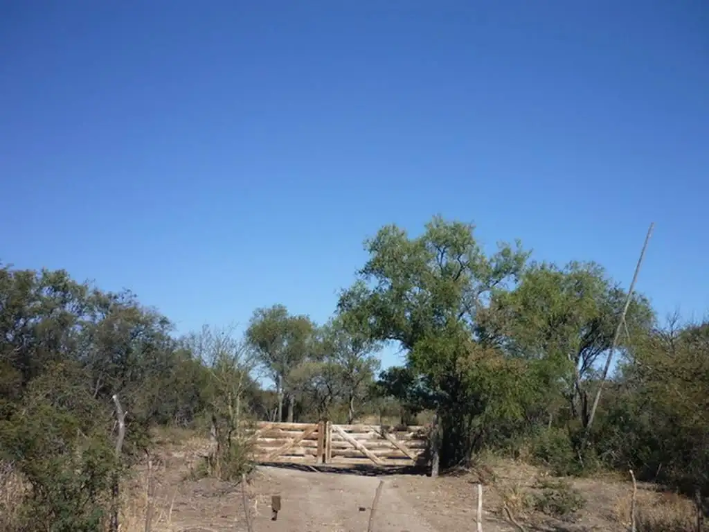 Vendo lote de 1 ha en la ruta de acceso a San Marcos Sierras