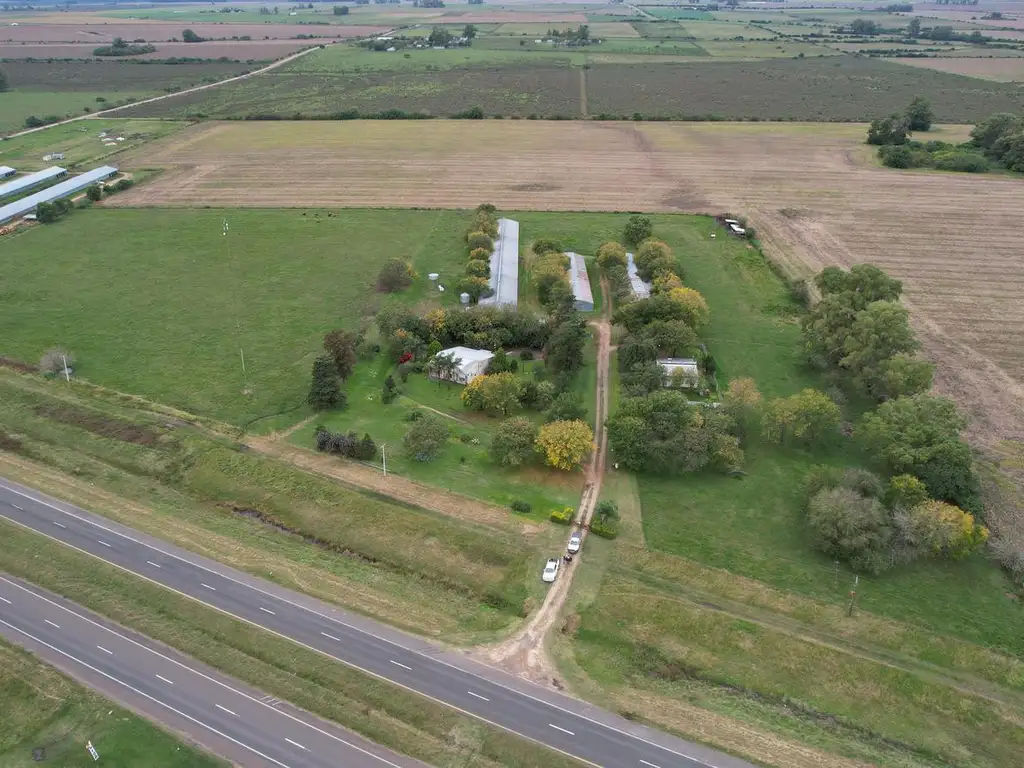 Granja Avícola Departamento Uruguay Entre Ríos