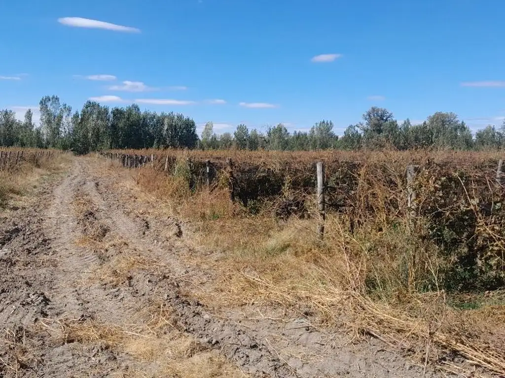 Campo - Venta - Argentina, San Carlos - SANTANDER