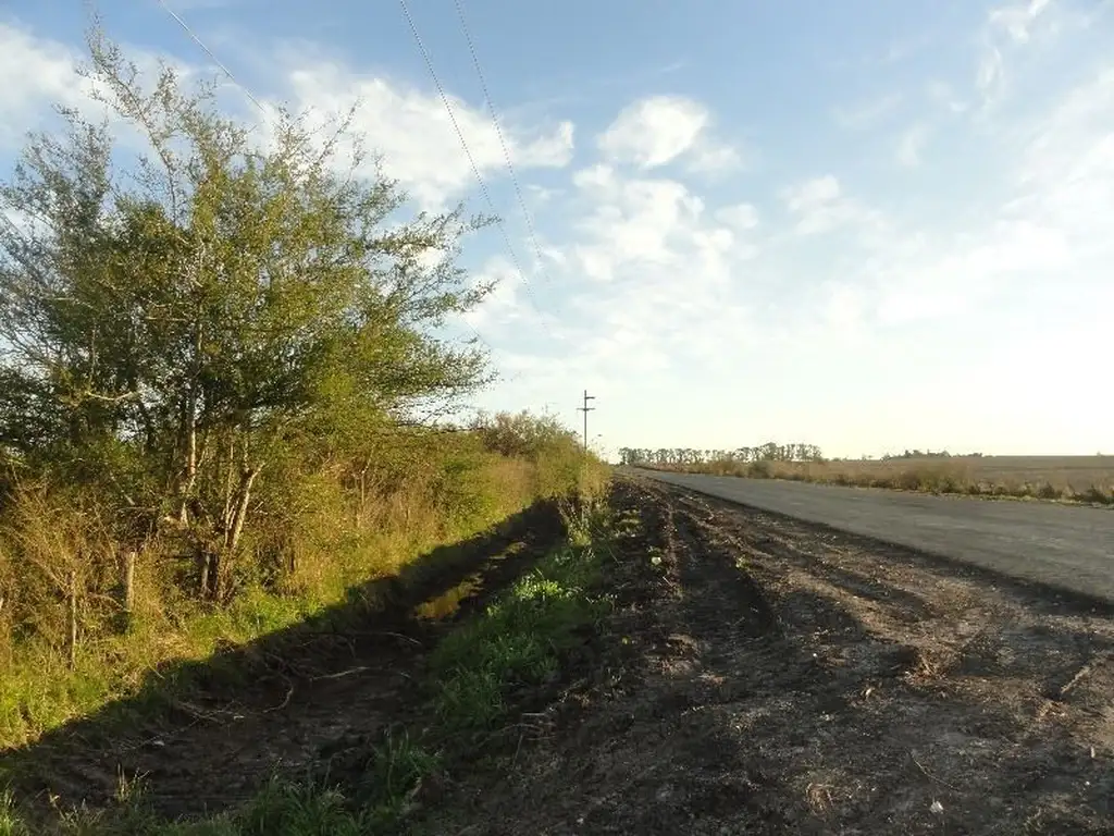 Campo ganadero sobre autovía , con mejoras , excelentes aguadas.