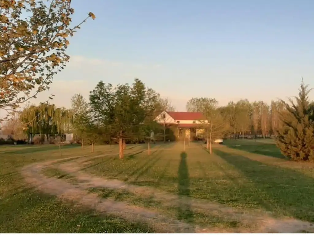 Chacra en Alquiler 5 Ambientes en San Antonio De Areco, Buenos Aires