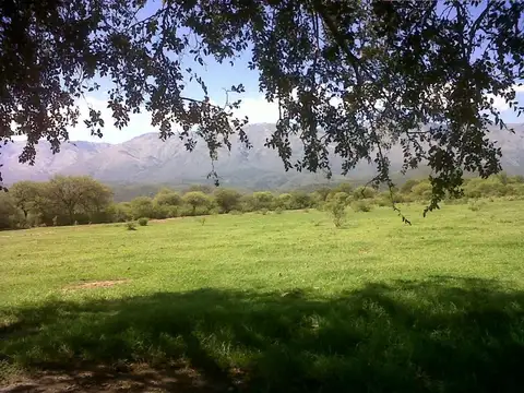 La Paz Córdoba, 43 hectáreas de campo virgen .