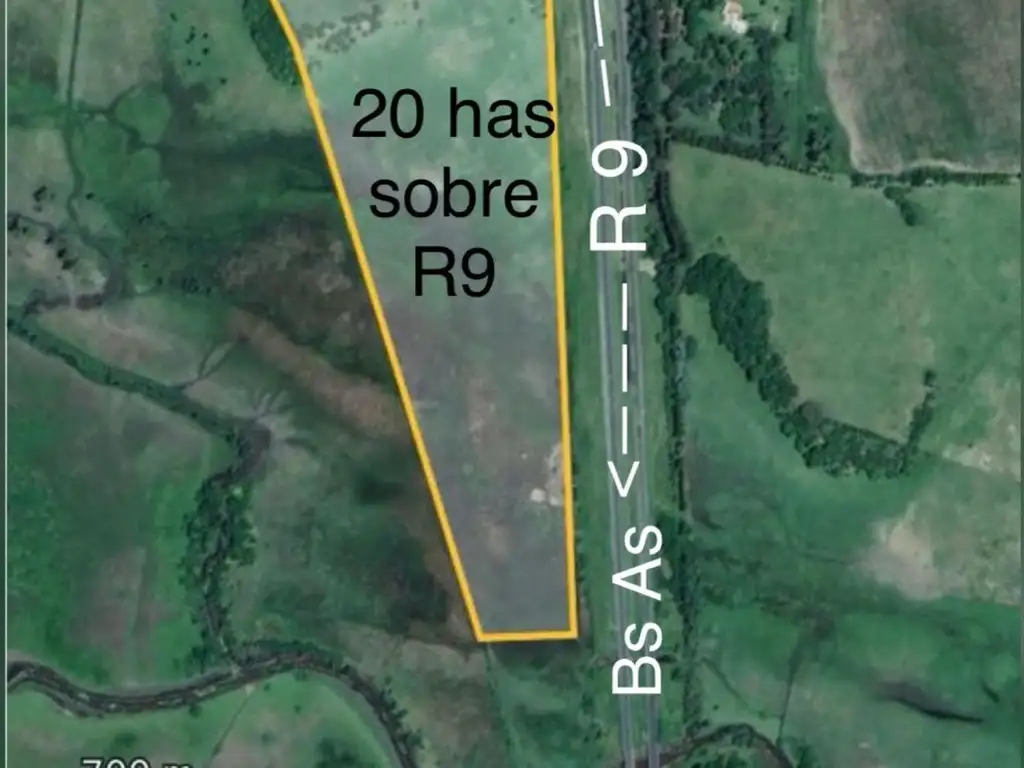 VENTA CAMPO 20 HAS SOBRE RUTA 9, ALSINA, BARADERO.