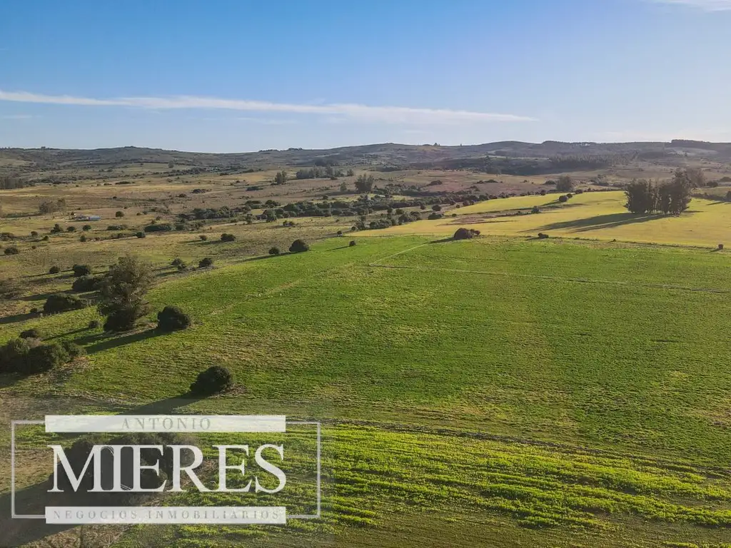 Campo de 270ha en Pueblo Edén Maldonado