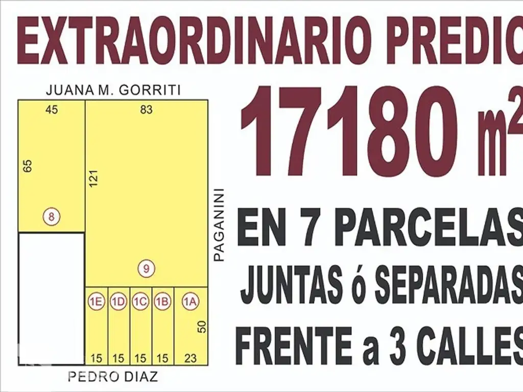 EXTRAORDINARIO LOTEO s/ Av. PEDRO DÍAZ ( 7 LOTES JUNTOS ó SE